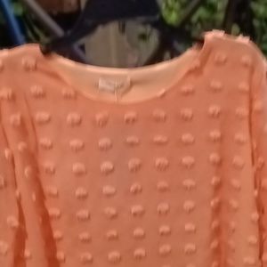 FINAL PRICE NWT Blooming Jelly peach colored rounded neckline l/s blouse L